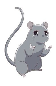 Rating: Safe Score: 0 Tags: anime bipedal cantbelieveiwatchedthisanimejusttogetghosted chinese_zodiac fruits_basket grey grey_eyes human_rat_man manga rat_human yuki_sohma User: rat