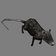 Rating: Safe Score: 3 Tags: black horror pathologic plague plague_rat rat video_game User: noah