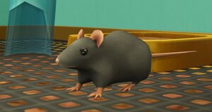 Rating: Safe Score: 1 Tags: grey life_sim_rat pet pet_rat quadrepedal sims sims4 smooth video_game User: rat