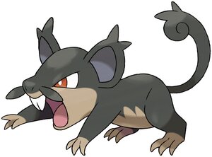 Rating: Safe Score: 0 Tags: alolan alolan_rattata grey moustache pokemon rattata red_eyes video_game User: Dumbratdevin