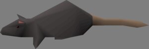 Rating: Questionable Score: 0 Tags: grey low_poly_rat old_school_runescape runescape tagme User: SleazyRat