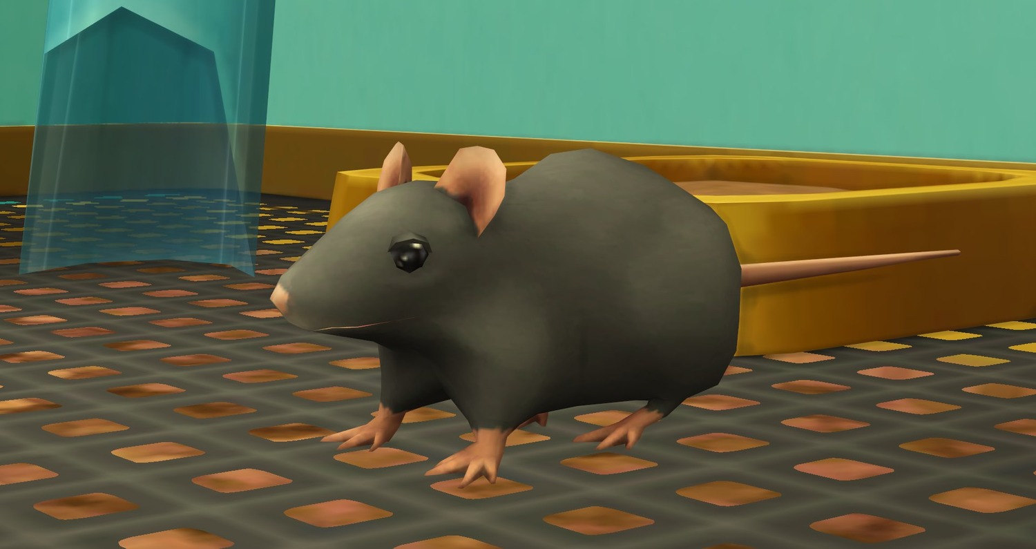 grey life_sim_rat pet pet_rat quadrepedal sims sims4 smooth video_game